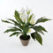 Mica Decorations Spathiphyllum - Kunstplant - Onderhoudsarm - Wit H50 x D40 cm