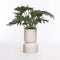 Mica Decorations Juncus Bloempot - H35 x Ø23 cm - Off white