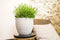 Ter Steege Bloempot Grijs D 29 cm H 26 cm