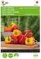 Buzzy - Zaden baby paprika tinkerbell f1 red yellow 10 zaden
