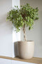 Capi Europe - Bloempot bol Waste Smooth NL - 35x34 - Terrazzo beige - Opening Ø29 - Bloempot voor binnen en buiten - Levenslang garantie - Breukbestendig - 100% Recyclebaar - CO2 Neutraal geproduceerd - KTB932