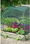 Nature - Insectennet voor pop-up Tuinkas - 100 x 100 x 100cm - vierkante meter tuin
