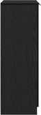 vidaXL - Schoenenkast - Zwart - Eiken - 59x35x100 - cm - Hout