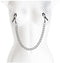 Nipple Clamps DC2