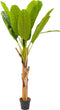Emerald - Kunstboom Bananenboom 150cm - Kunstplanten voor binnen