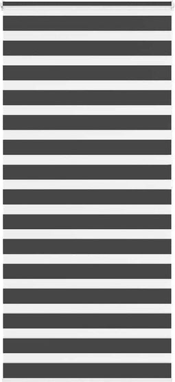 vidaXL - Zebra - rolgordijn - 110x200 - cm - stofbreedte - 105,9 - cm - zwart