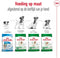 Royal Canin Mini - Adult 8+ - Hondenbrokken - 8 KG