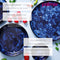 Palmer Schaal Bama Blue 12 cm 30 cl Blauw Stoneware 6 stuks