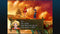 Square Enix Chrono Cross - Switch - HD Remaster met Radical Dreamers (2022)