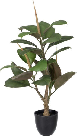 Decoratieve plant Polyethyleen Ijzer PEVA Ek 76 cm