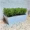 Plants by Frank | 6 Rozemarijnplant | Vaste planten | Tuinplanten | 6 x Ø7 cm | 15 cm | Rosmarinus offincalis winterhard | Geurhaag