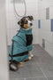 Trixie - Hondenkleding - Honden Badjas - Petrol - 30 cm
