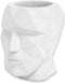 Balvi pennebak The Head wit cement