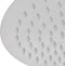 vidaXL - Regendouchekop - 2 - st - 30x30 - cm - roestvrij - staal