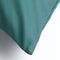 Dutch Decor - SANTORINI - Buitenkussen 40x60 cm - waterafstotend en uv-bestendig - Sagebrush Green - groen
