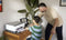 HP Smart Tank 6005 - All-in-One Kleur Printer - Draadloos - Tot 3 jaar inkt inbegrepen