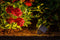 Garden Lights: Nano Tuinspot 12 Volt - Grijs