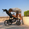 Deryan Bolt - Hardloop kinderwagen - Inclusief muggennet en luchtpomp - Creme