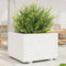 vidaXL - Plantenbak - 70x70x49,5 - cm - massief - grenenhout - wit