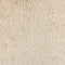 PILEA - Sierkussen - Beige - 45 x 45 cm - Polyester