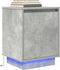 vidaXL - Nachtkastjes - met - led-verlichting - 2 - st - 38x34x50 - cm - betongrijs