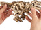 Ugears Tyrannosaurus Rex
