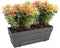 Elho Loft Urban Balkonbak Allin1 50 - Plantenbak met waterreservoir - Antraciet - Ø 49.0 x H 20.5 cm