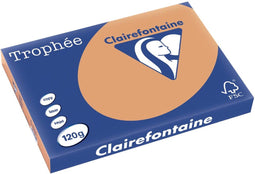 Clairefontaine Trophée Pastel, gekleurd papier, A3, 120 g, 250 vel, mokkabruin