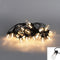 LED lampverl.hel.starterkit bu/9.5m-20L/zwart/warm wit