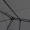 vidaXL - Prieel - met - LED-lichtslinger - 3x4 - m - antracietkleurig