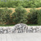 vidaXL - Schanskorven - 5 - st - gewelfd - 200x50x40/60 - cm - gegalvaniseerd - ijzer