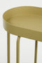 Mica Decorations Plantentafel Dacia - 58x20x50 cm - Ijzer - Ijzer