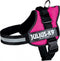 Julius K9 IDC Powertuig/Harnas - Baby 1/30-40cm - XXXS - Fuchsia
