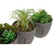 Decoratieve plant DKD Home Decor Grijs Beige Polyethyleen Groen Polypropyleen (11 x 11 x 15 cm) (...