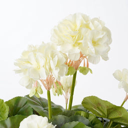 Mica Decorations Geranium Kunstplant in Bloempot Stan - H34 x Ø20 cm - Crème