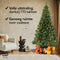 Nordlandia Kunstkerstboom - 210 cm - LED Verlichting 180 lampjes - Groen