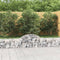 vidaXL - Schanskorven - 12 - st - gewelfd - 200x30x40/60 - cm - gegalvaniseerd - ijzer