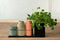 Crushgrind Pepermolen - kruidenmolen Billund - Paprika - 11,6cm