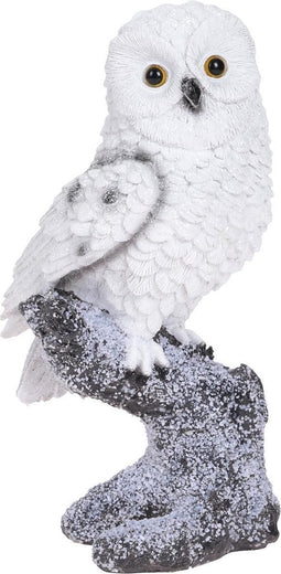 Uil op boomstam 20 cm 2 assorti