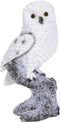 Uil op boomstam 20 cm 2 assorti