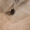 Floortex vloermat Cleartex Ultimat, rechthoekig, ft 120 x 150 cm