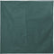 vidaXL - Plantenhoezen - met - ritssluiting - 2 - st - 70 - g/m² - 1,55x1,55 - m