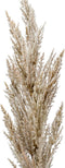 Emerald Pampasgras pluim losse steel/tak - naturel - 92 cm - Decoratie kunst bloemen/graspluimen