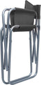 vidaXL Regisseursstoelen - Staal - Grijs - 48 x 57 x 79 cm