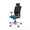 Piqueras y Crespo 1B086G2 - Bureaustoel - Verstelbare hoogte 50-62 cm - Zwart Groene benzine