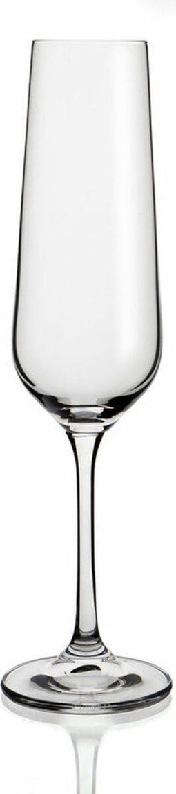 Champagneglas (200 ml) (6 Stuks)