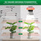SANSI C23ZW018-T0040A27 - Led-plantenlamp - Volledig spectrum 40 W - Zwart met Timer