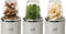 Fritel BG 1310 - Mini-blender - 4 bekers - Zilvergrijs