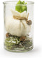 Cilinder 'Chloe' h15 d10 cm - Transparant/Helder/Doorzichtig glas - Bloemen/Boeket vaas - Decoratie