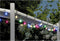 LED Multicolour Feestverlichting - 80 Lampjes - 16 Meter - IP44